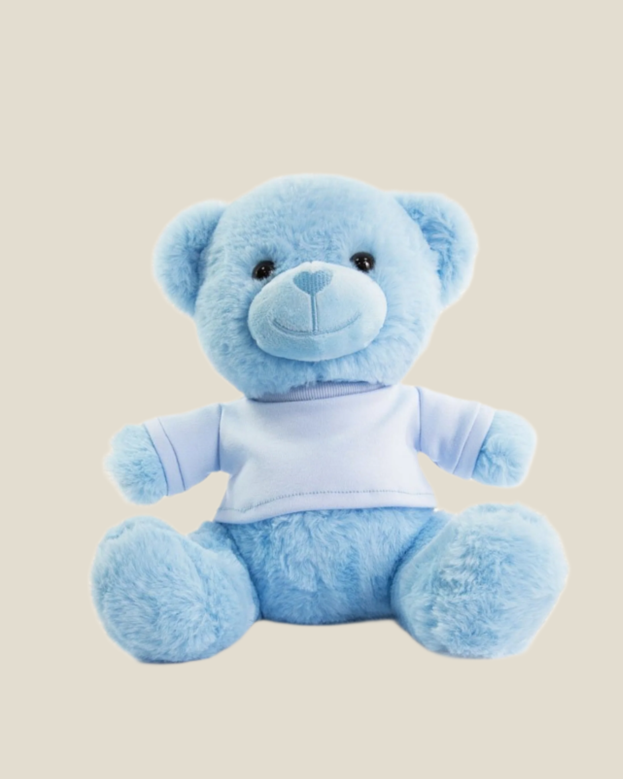 Bear Soft Toy - Blue