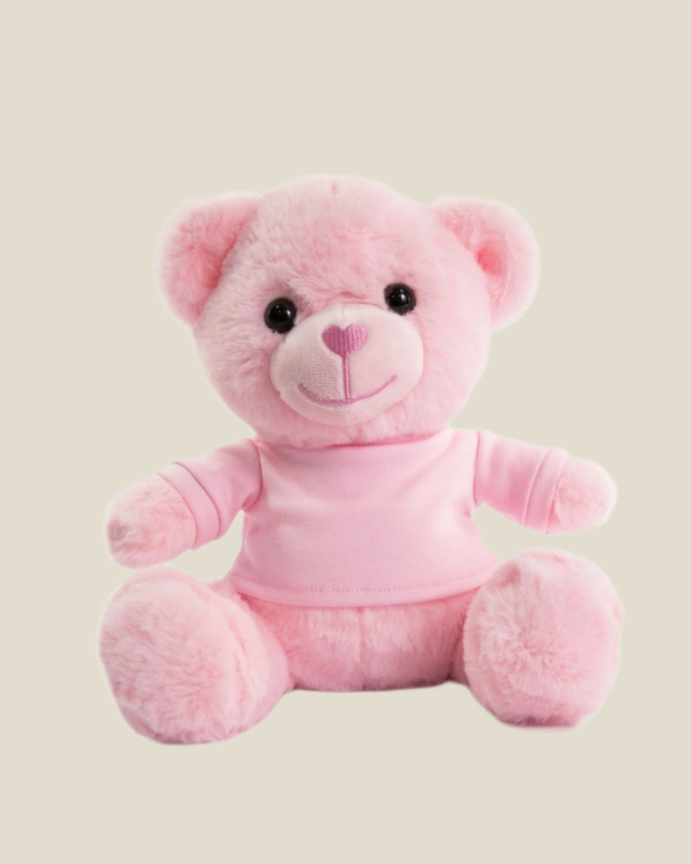 Bear Soft Toy - Pink